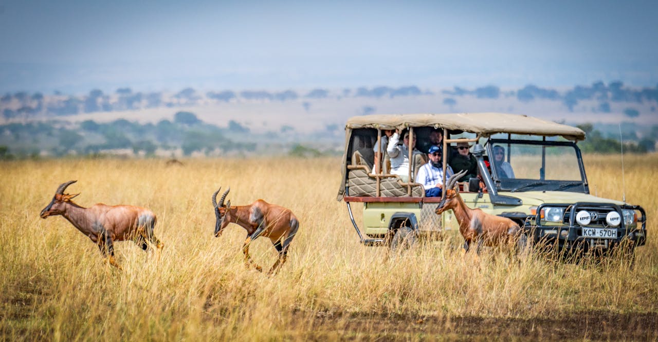 Africa Safari Trip