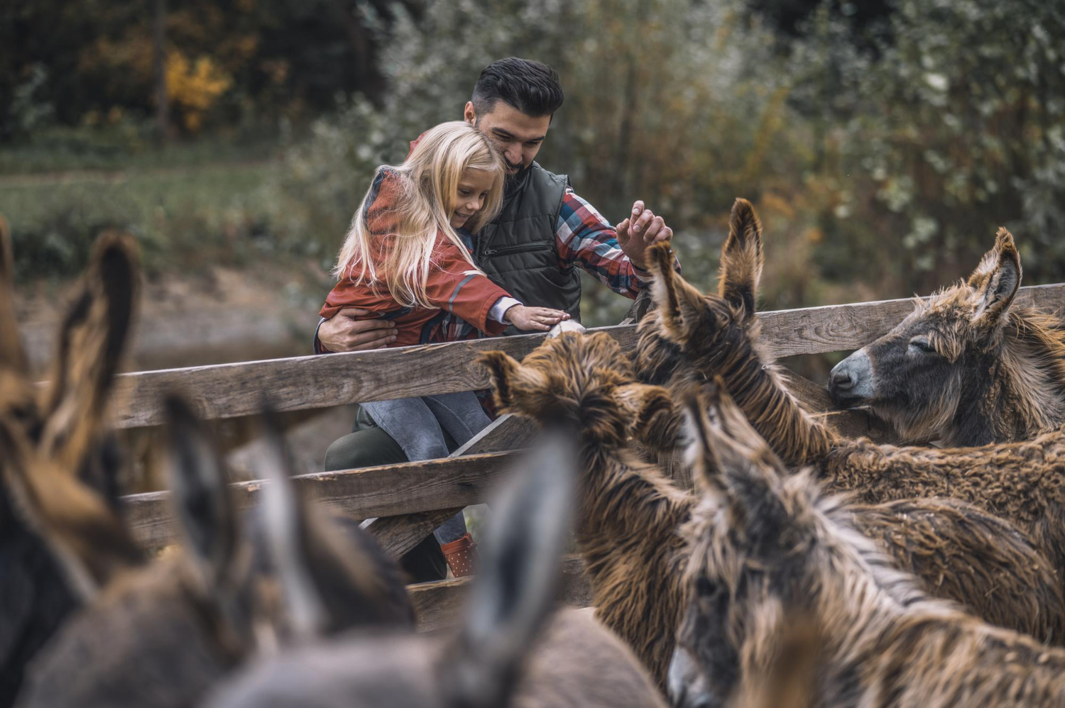 Complete Safari Guide: Animals, Seasons, Destinations & Photography Tips