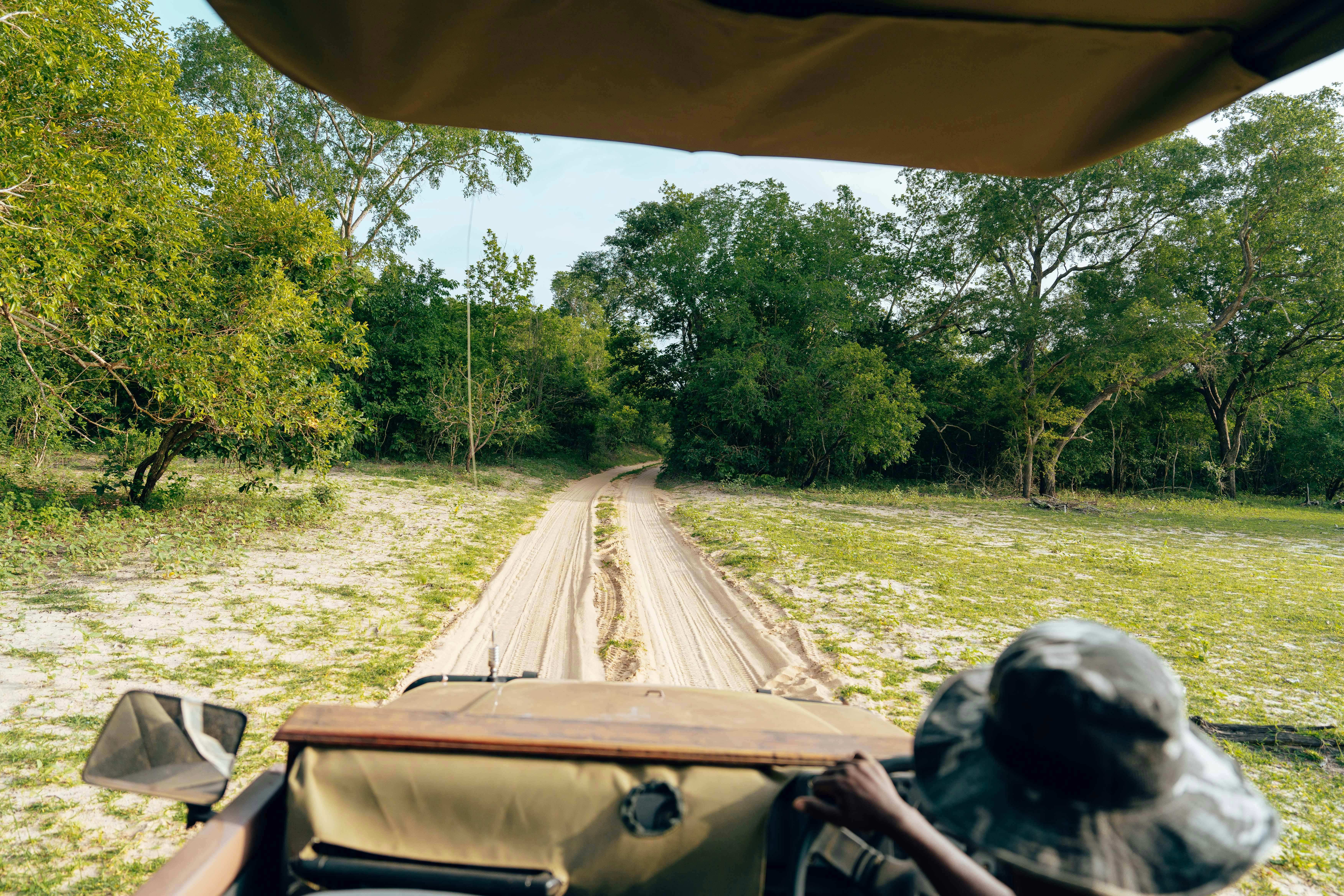 Botswana Safari