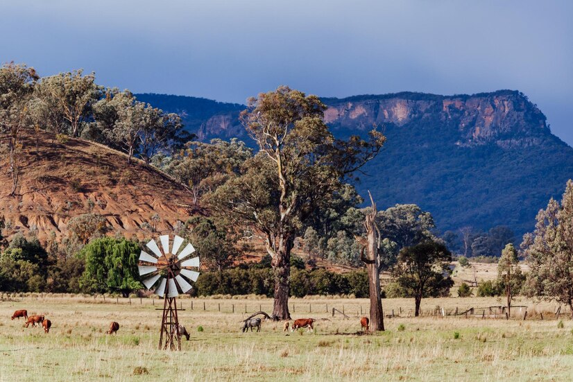South Africa: A Land of Diversity, Beauty, and Culture