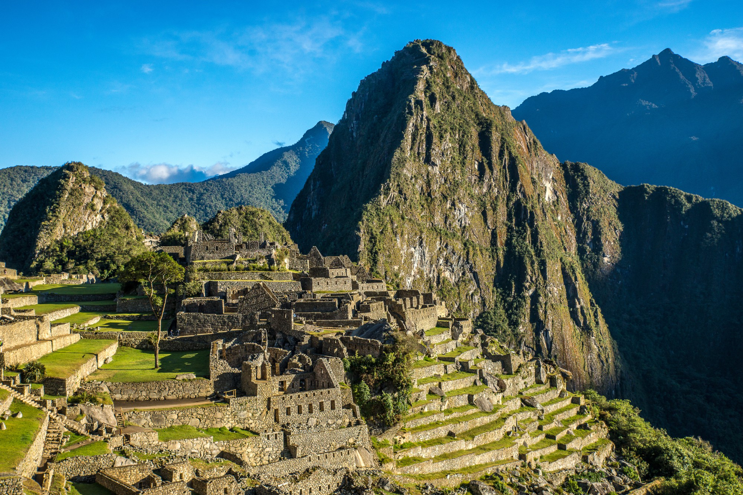 Machu Picchu: The Lost City of the Incas